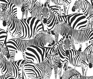 Wallpaper Paradise 154-139155