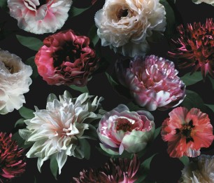 Wallpaper Paradise 154-139168