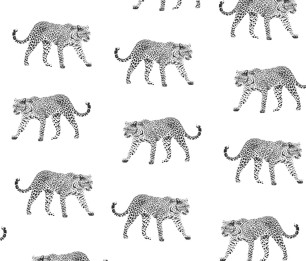 Wallpaper Paradise 154-139176