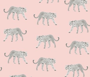 Wallpaper Paradise 154-139177