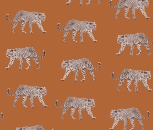 Wallpaper Paradise 154-139178