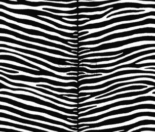 Wallpaper Paradise 154-136807