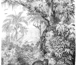 Mural XL Leopard in Jungle 158945