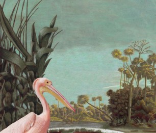 Mural XL Pelican bird 158948