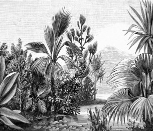 Mural XL Jungle engraving 158953