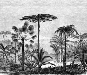 Mural XL Palm trees engraving 158952