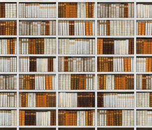 Mural Library V135-1