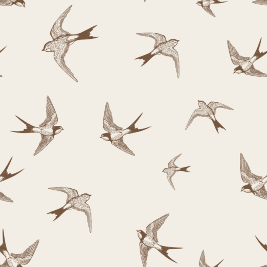 Fototapeet Brown Swallow
