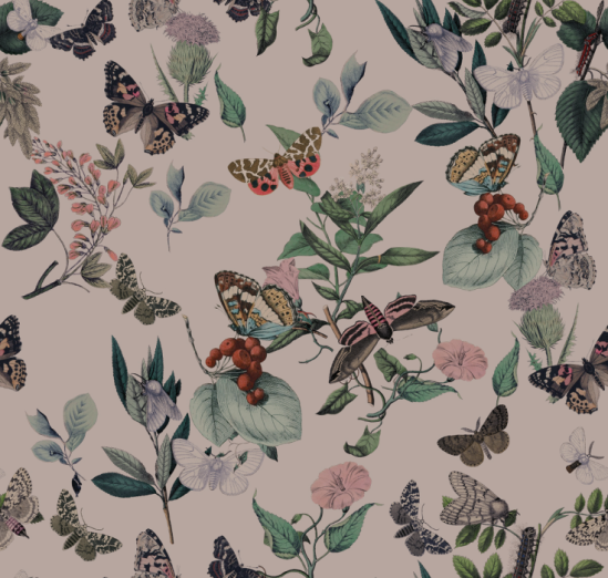 Fototapeet Butterfly Rowan Pink