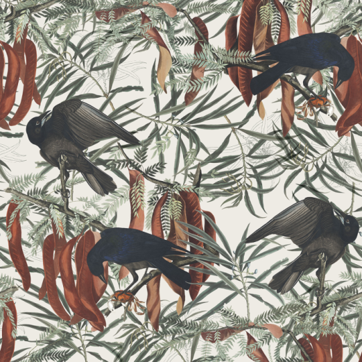Fototapeet Crows