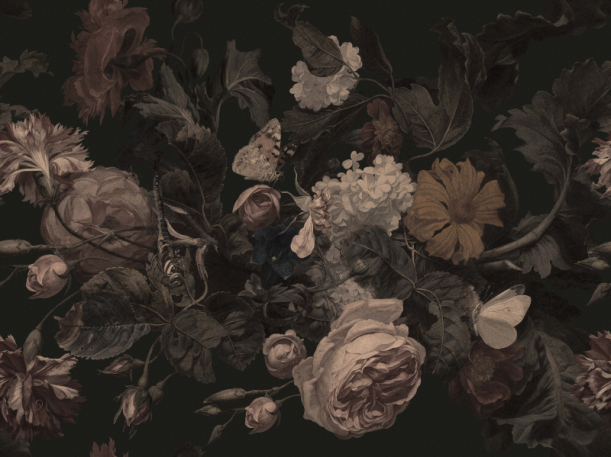 Fototapeet Dragonfly Garden Black