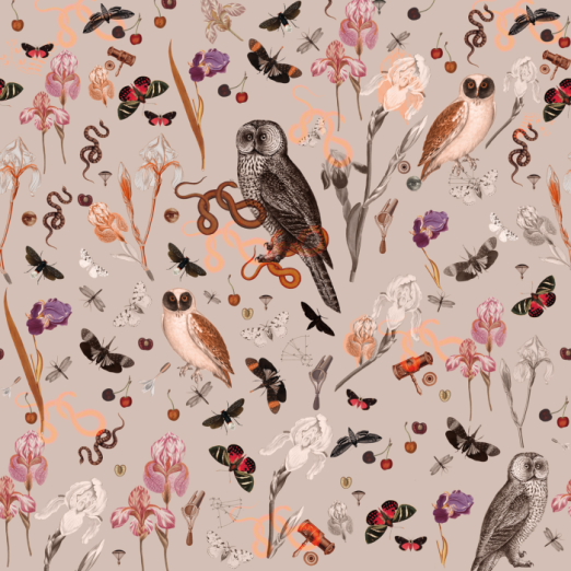 Fototapeet Pink Owls