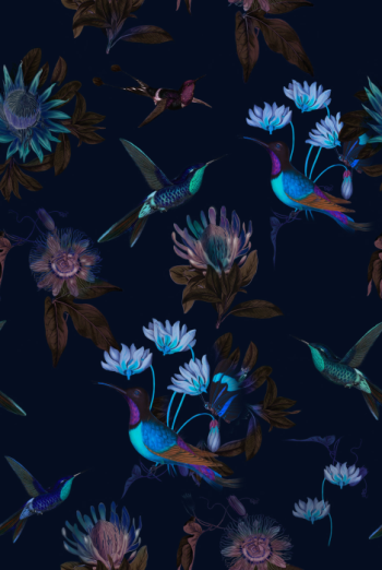Fototapeet Toxic Hummingbirds