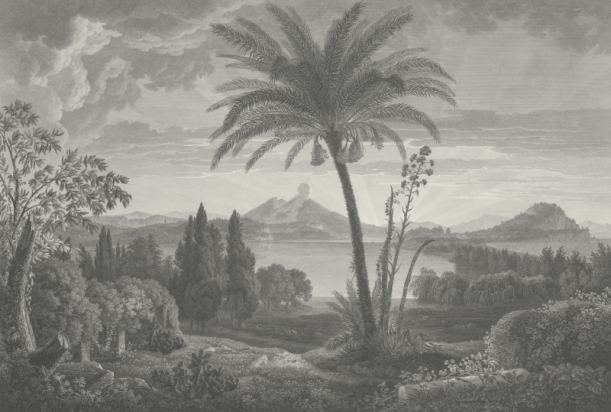 Fototapeet Tropical Volcano Vista