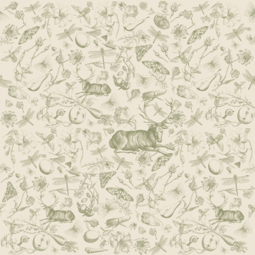 Fototapeet Vintage Botanic Green