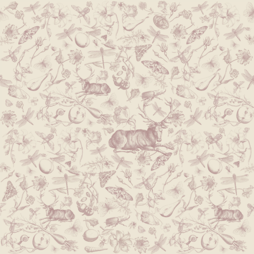 Fototapeet Vintage Botanic Pink