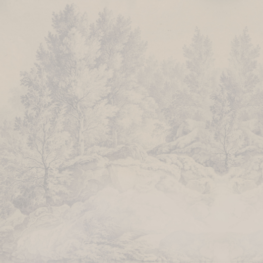 Fototapeet Whispering Trees Blue