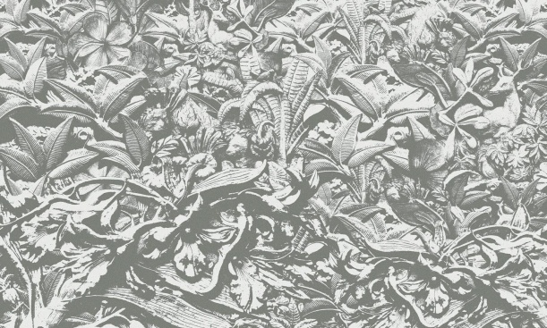 Wall Mural Fiobbo GAM-191157-2