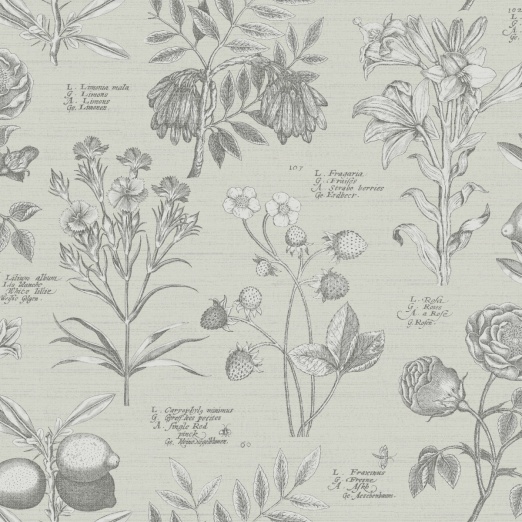 Tapeet Botanical Sketchbook 100293OL