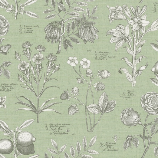 Tapeet Botanical Sketchbook 100294OL