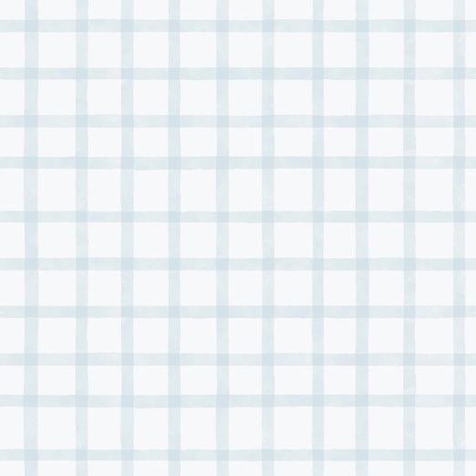 Tapeet Watercolor Checks 290-2