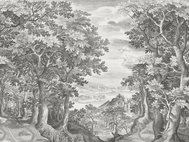 Fototapeet Lorelei 3862-1