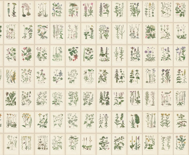 Fototapeet Botanica S10508