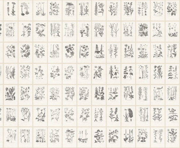 Fototapeet Botanica S10509
