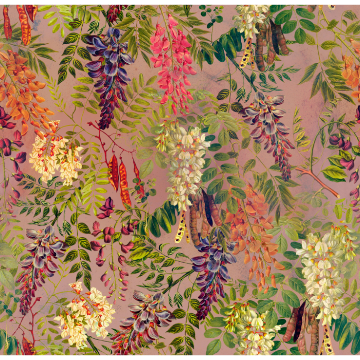Fototapeet Acacia