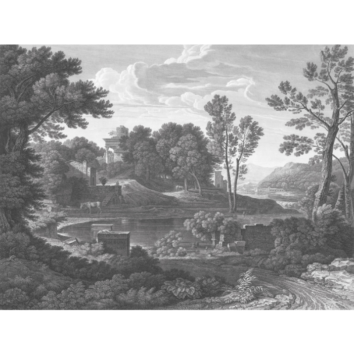 Fototapeet Ancient Riverside Grove
