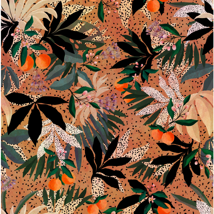 Fototapeet Apricots