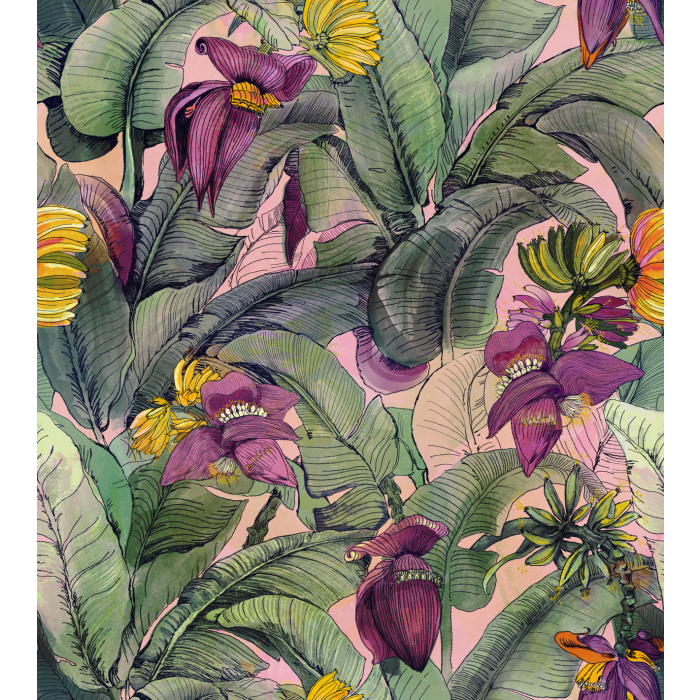 Fototapeet Banana Tree