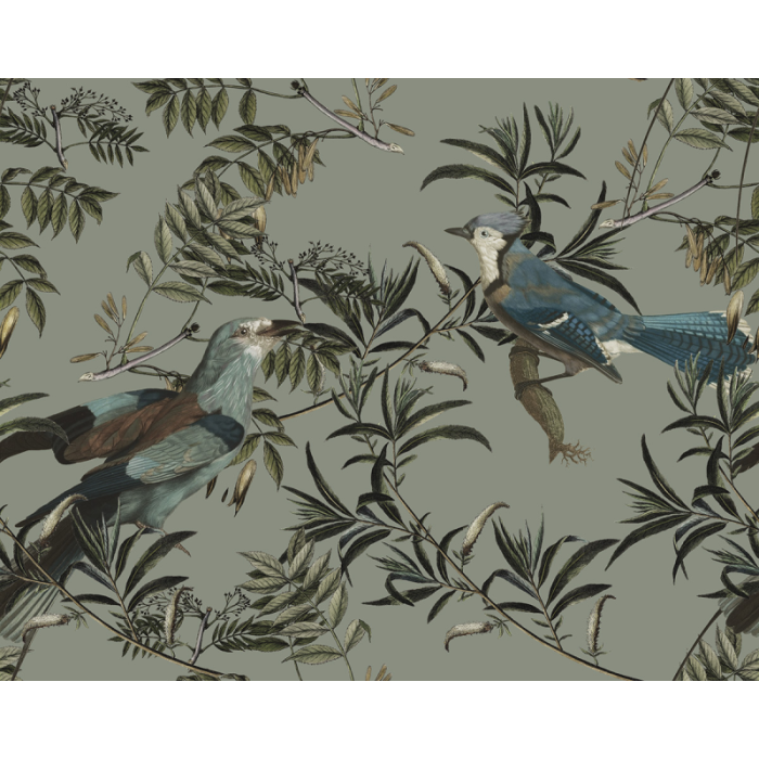 Fototapeet Birds in Garden