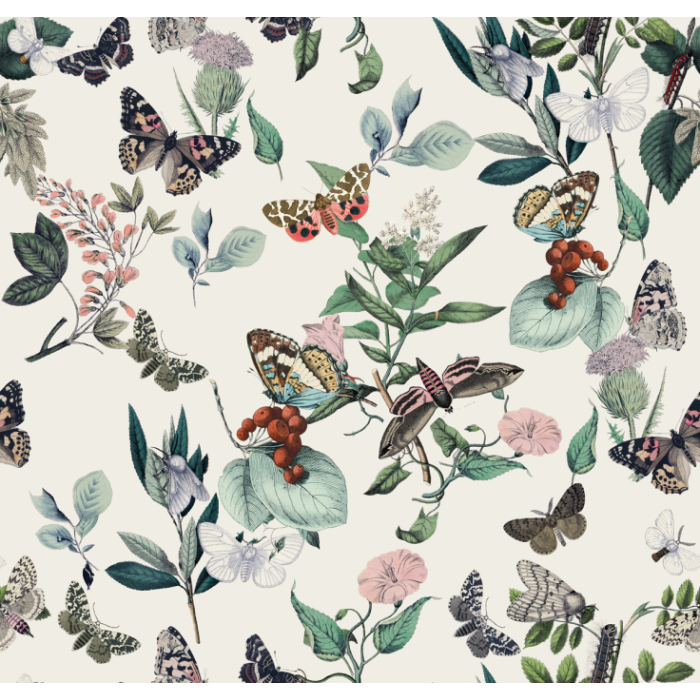 Fototapeet Butterfly Rowan