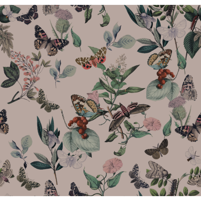 Fototapeet Butterfly Rowan Pink