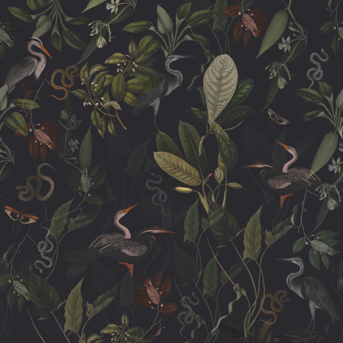 Fototapeet Dark Heron