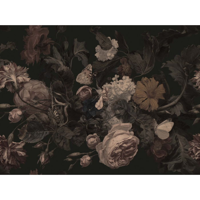 Fototapeet Dragonfly Garden Black