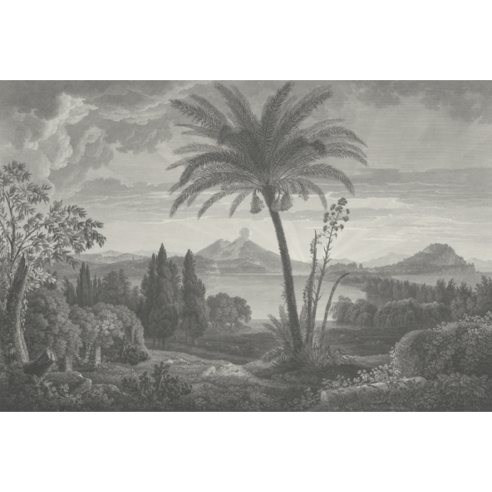 Fototapeet Tropical Volcano Vista