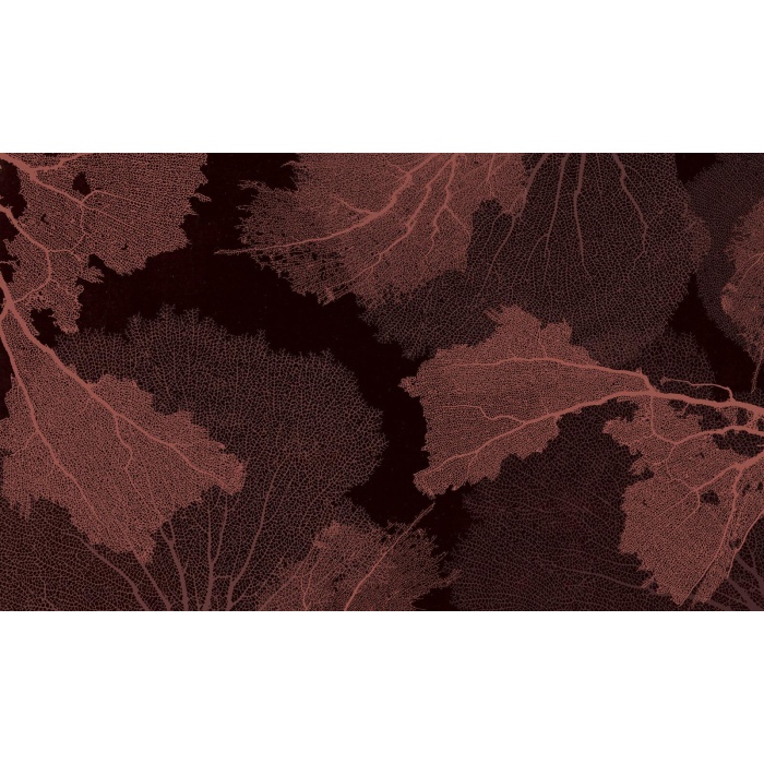 Фотообои Boscarello ORX-190584-4