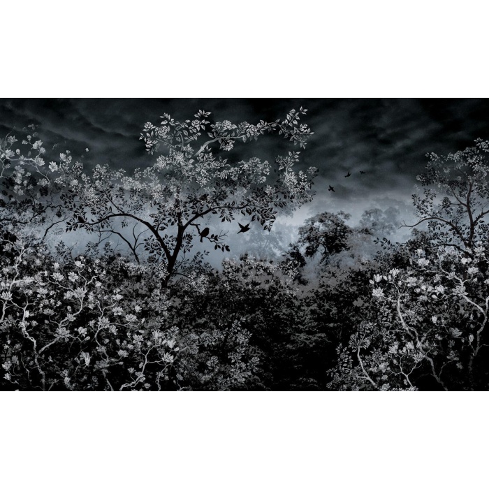 Valokuvatapetti Cadenti QUS-180947-3