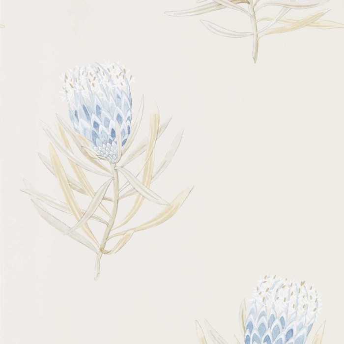 Fliistapeet Protea Flower 216327
