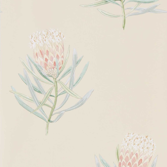 Non-Woven Wallpaper Protea Flower 216329