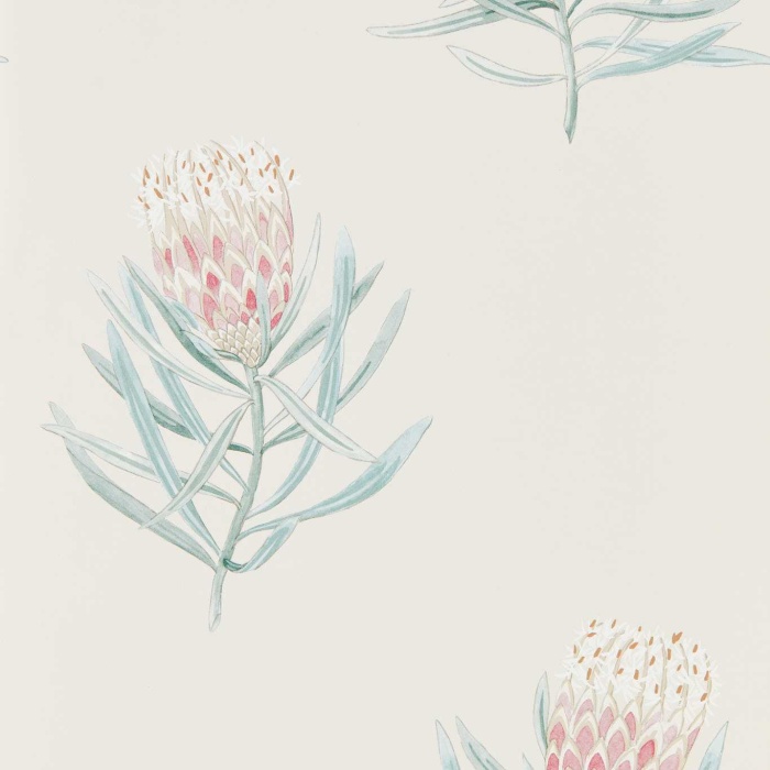 Non-Woven Wallpaper Protea Flower 216330