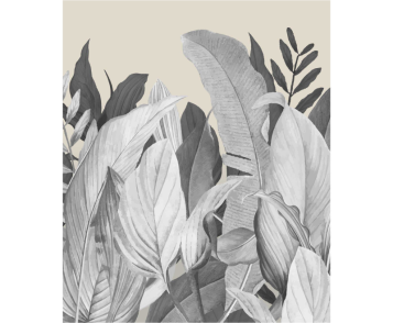 Fototapeet Tropical Forest 18000