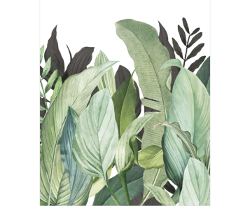 Fototapeet Tropical Forest 18001
