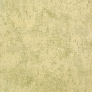 Tapeet Monstera Plain 26944