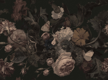 Fototapeet Dragonfly Garden Black