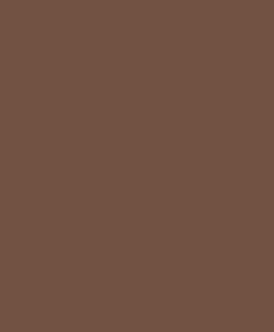 Tapeet Pigments 200332909