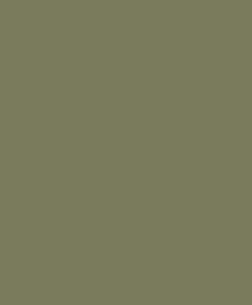 Tapeet Pigments 200337606