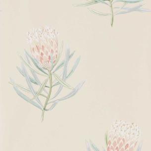 Non-Woven Wallpaper Protea Flower 216329